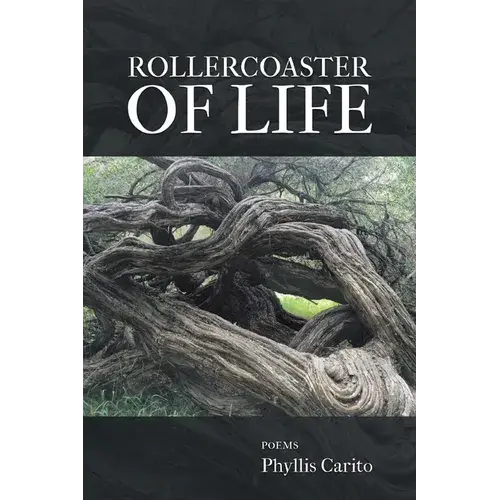Rollercoaster Of Life - Paperback 1