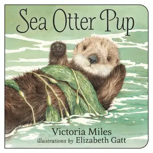 Sea Otter Pup - Board Book 1