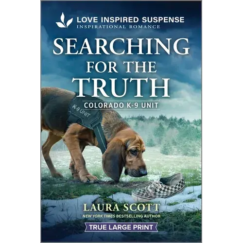 Searching For The Truth - Paperback 1