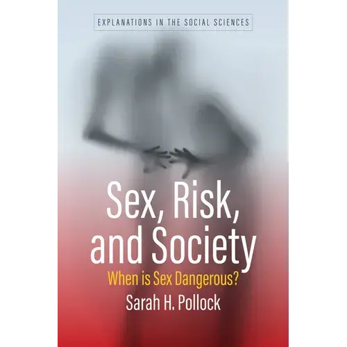 Sex, Risk, And Society: When Is Sex Dangerous? - Paperback 1