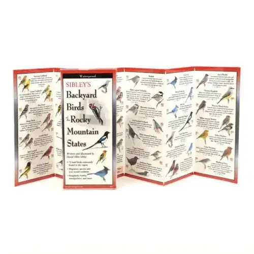 Sibley's Back. Birds Of Rocky Mountain States 1