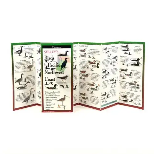 Sibley's Birds Of Pacific Nw Coast 1