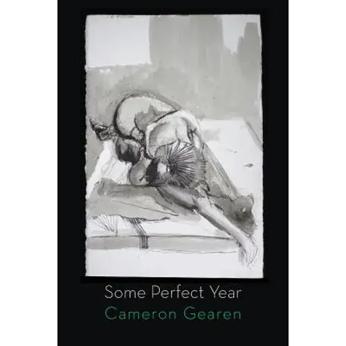 Some Perfect Year - Paperback 1
