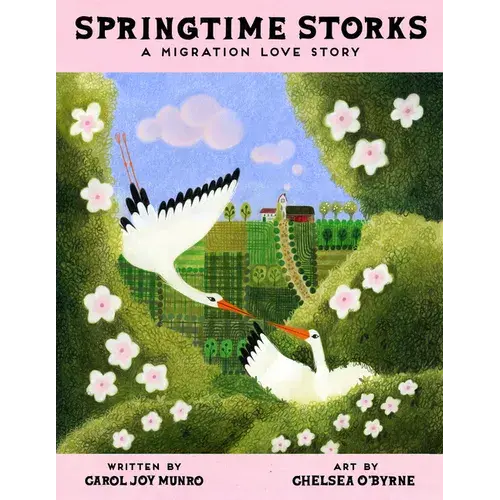Springtime Storks: A Migration Love Story - Hardcover 1