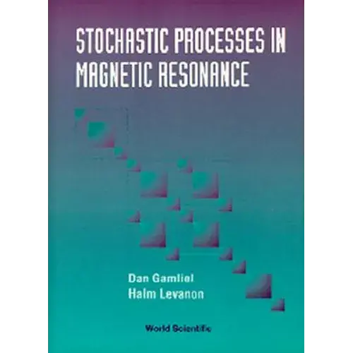 Stochastic Processes In Magnetic... - Hardcover 1
