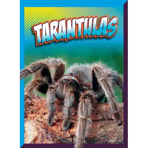Tarantulas - Paperback 1