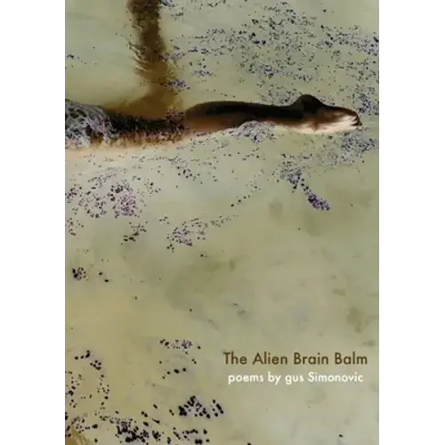 The Alien Brain Balm: Words Abducted From The Spaceship - Paperback 1