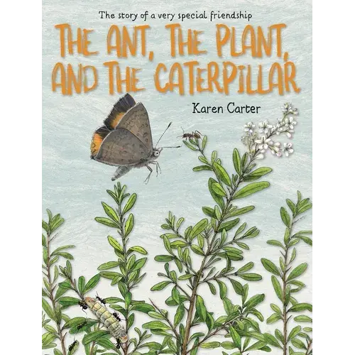 The Ant, The Plant, And The Caterpillar - Hardcover 1