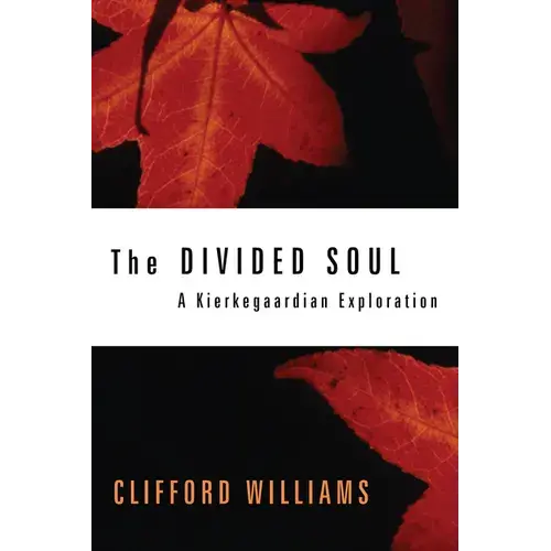The Divided Soul - Paperback 1