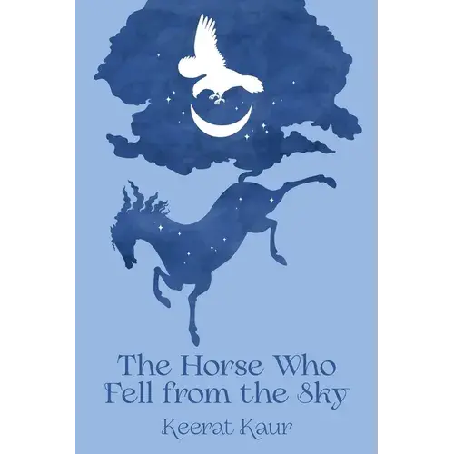 The Horse Who Fell From The Sky - Hardcover 1