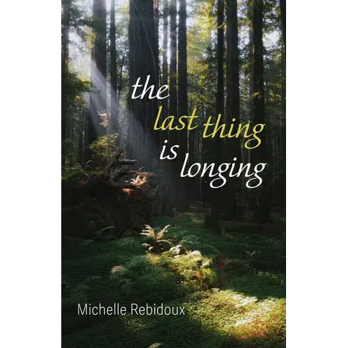The Last Thing Is Longing - Paperback 1