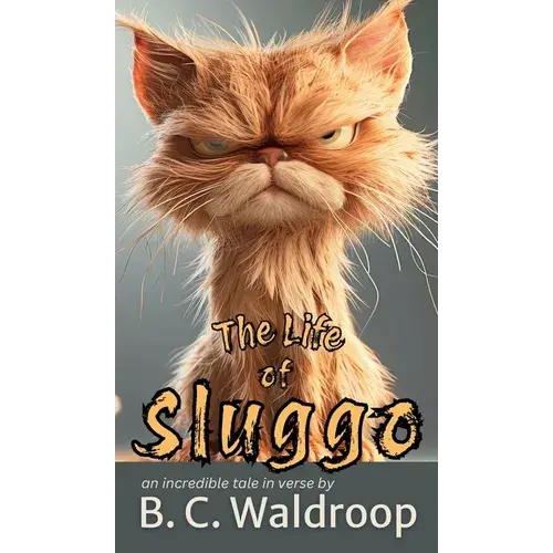 The Life Of Sluggo - Hardcover 1