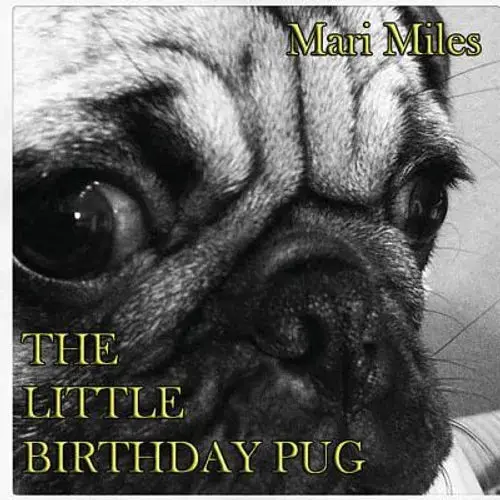 The Little Birthday Pug - Paperback 1