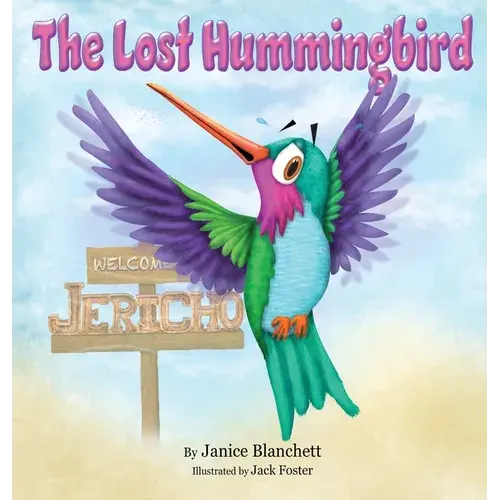 The Lost Hummingbird - Hardcover 1