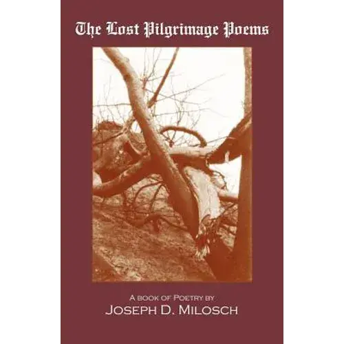 The Lost Pilgrimage Poems - Paperback 1