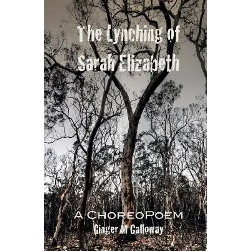 The Lynching Of Sarah Elizabeth - Paperback 1
