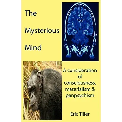 The Mysterious Mind: A Consideration Of Consciousness, Materialism & Panpsychism - Paperback 1