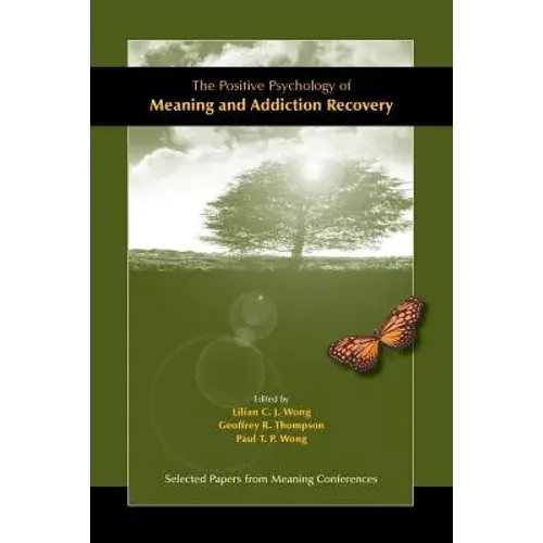 The Positive Psychology Of Meaning And Addiction Recovery - Paperback 1