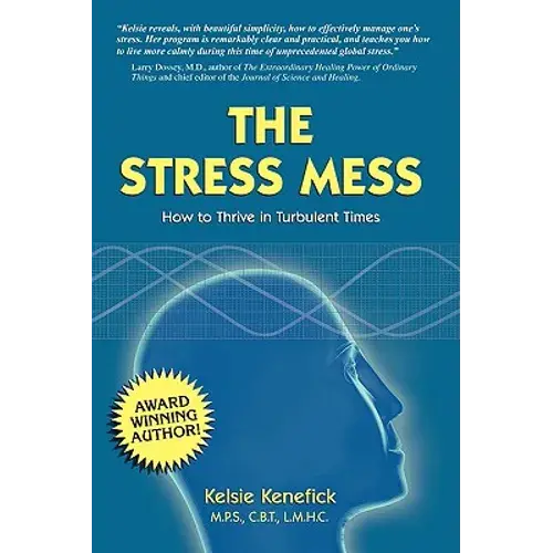 The Stress Mess: How To Thrive In Turbulent Times - Paperback 1