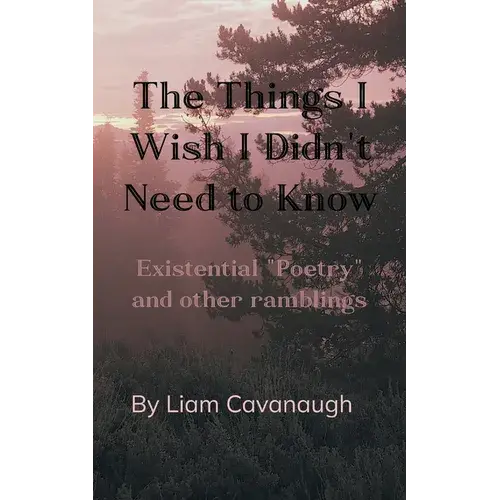The Things I Wish I Didn't Need To Know Existential "Poetry" And Other Ramblings - Paperback 1