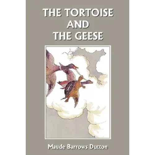 The Tortoise And The Geese And Other Fables Of Bidpai (Yesterday's Classics) - Paperback 1