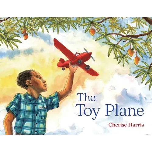 The Toy Plane - Hardcover 1