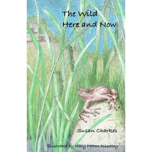The Wild Here And Now - Paperback 1
