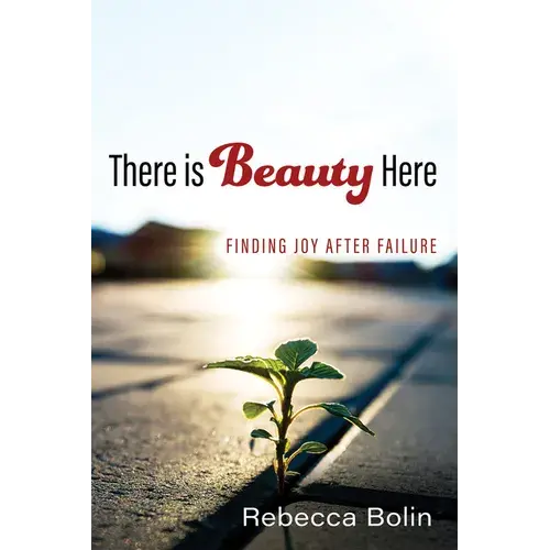 There Is Beauty Here: Finding Joy After Failure - Paperback 1