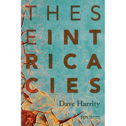 These Intricacies - Paperback 1