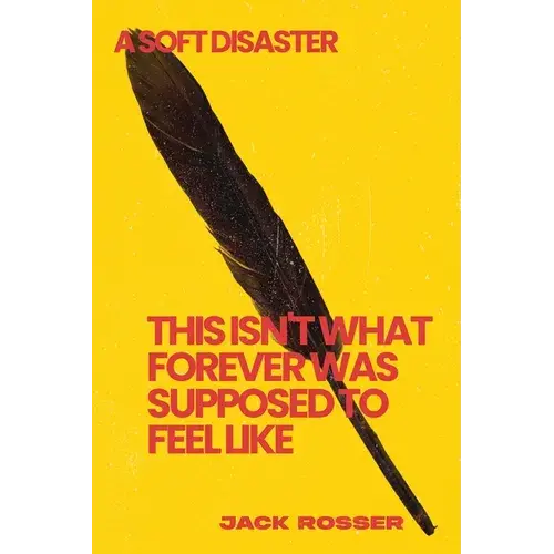 This Isn't What Forever Was Supposed To Feel Like: A Soft Disaster - Paperback 1