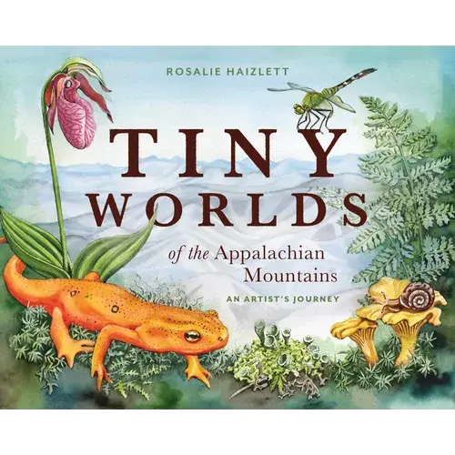 Tiny Worlds Of The Appalachian Mountains: An Artist's Journey - Hardcover 1