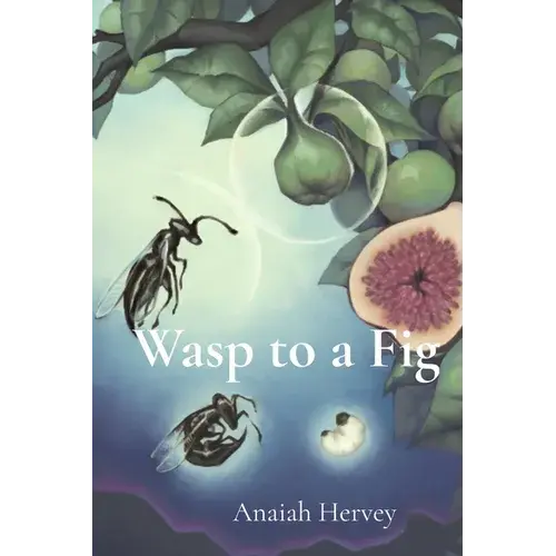 Wasp To A Fig - Paperback 1