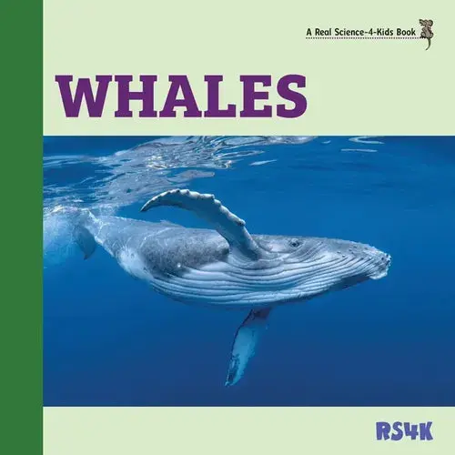 Whales - Paperback 1