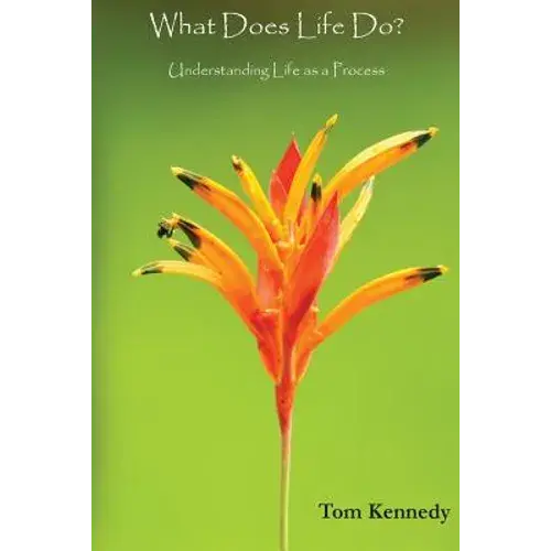 What Does Life Do?: Understanding Life As A Process - Paperback 1