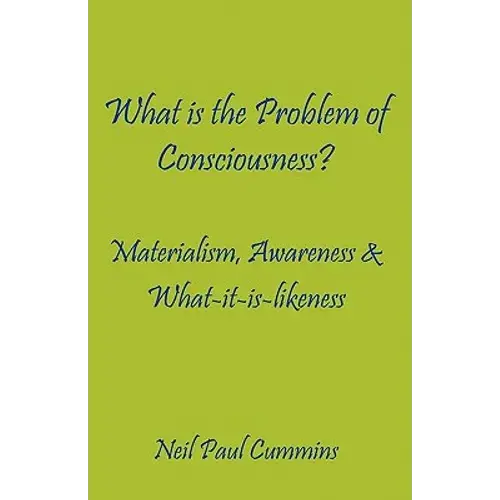 What Is The Problem Of Consciousness?: Materialism, Awareness & What-It-Is-Likeness - Paperback 1