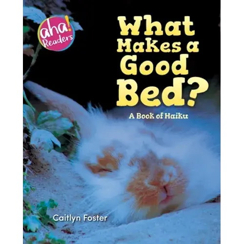What Makes A Good Bed?: A Book Of Haiku - Paperback 1