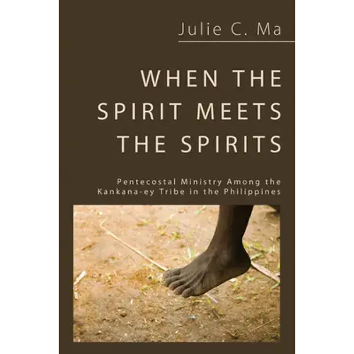 When The Spirit Meets The Spirits - Paperback 1