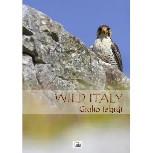 Wild Italy - Paperback 1
