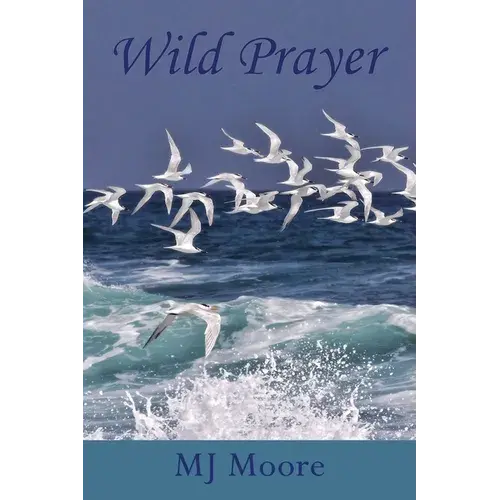 Wild Prayer - Paperback 1