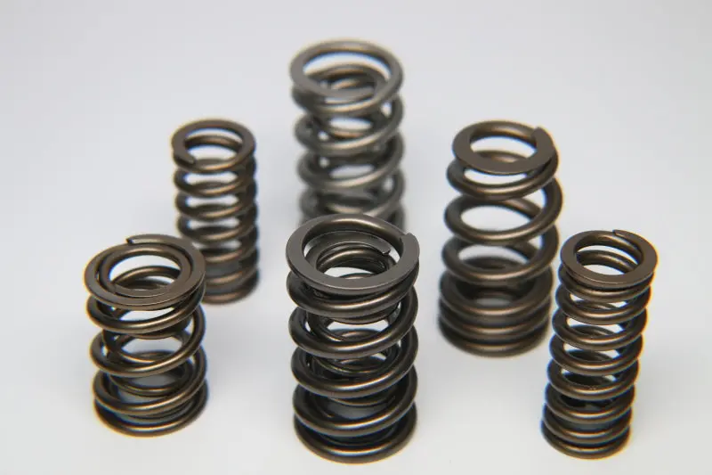 Ferrea Dual Valve Spring Kit For Vw 16V Engines – Set Of 16 1